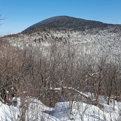 Thomas Cole Mountain in winter